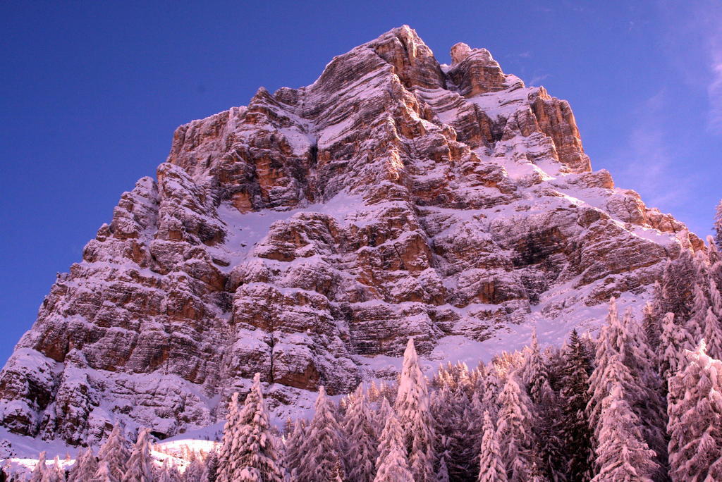 Rifugio Passo Staulanza Hotel Zoldo Alto Eksteriør billede