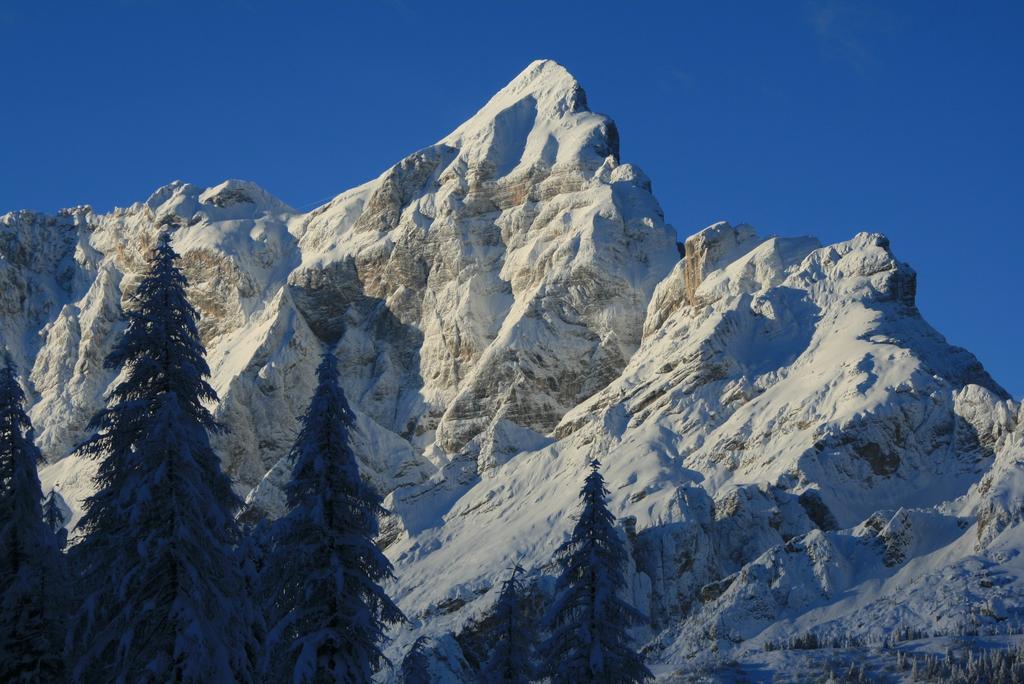 Rifugio Passo Staulanza Hotel Zoldo Alto Eksteriør billede
