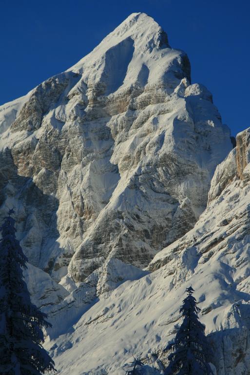 Rifugio Passo Staulanza Hotel Zoldo Alto Eksteriør billede